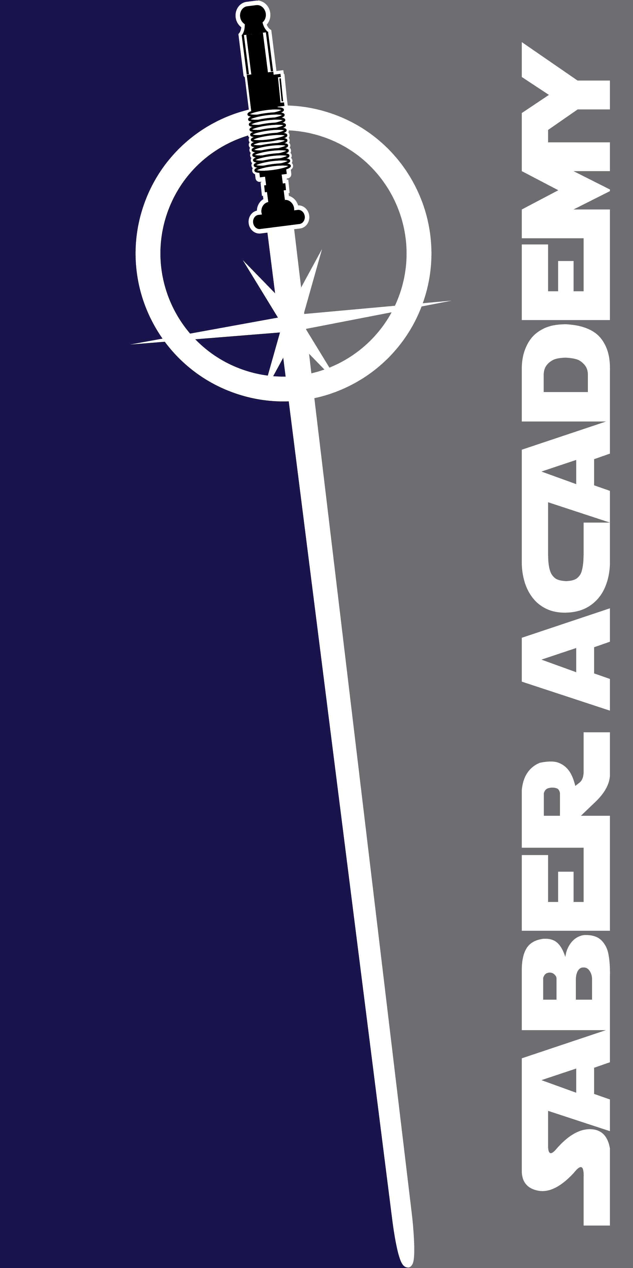 Saber Academy BlueGrey Banner 30x60